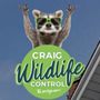 Photo of Craig Wildlife Control
