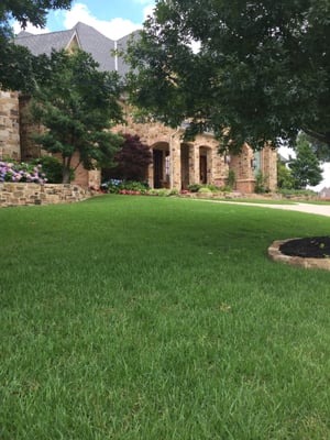 North Texas Lawn Fertilization - Most lawns in North Texas benefit from fertilization several times per year because the grass goes through different growth, stress and recovery periods each season. A consistent program helps support stronger roots, better color and improved resistance against heat, weeds and thinning.