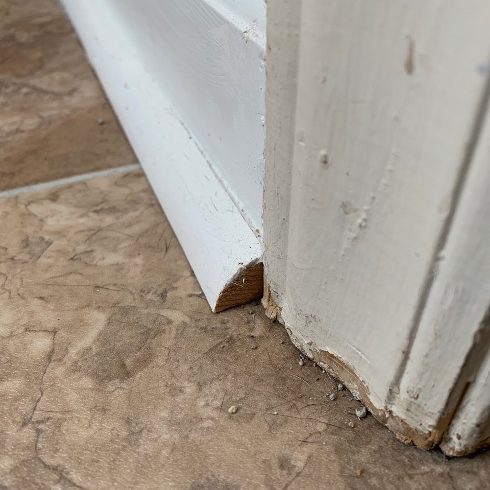 Jenkins Restorations - Unfinished baseboards - Damage Restoration Near Me - Raleigh, North Carolina Jenkins Restorations - Unfinished baseboards - Damage Restoration Near Me - Raleigh, North Carolina