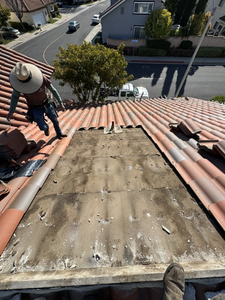 Slide of Carlos Martinez 