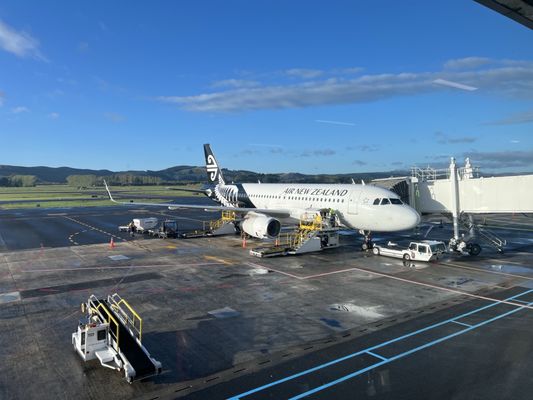 Dunedin Airport by null