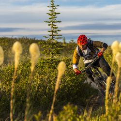 Trans Cascadia Excursions - Photo : Colin Meagher