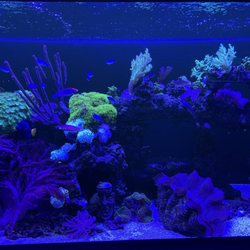 Daytona Aquarium