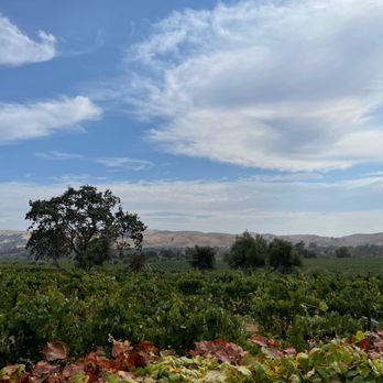 Las Positas Vineyards - Wineries Near Me - Livermore, California Las Positas Vineyards - Wineries Near Me - Livermore, California