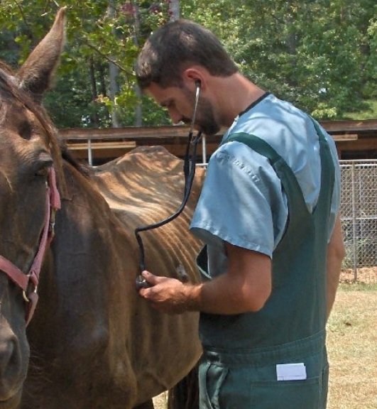 MOBILE VETERINARY SERVICE Updated July 2024 Eutaw, Alabama