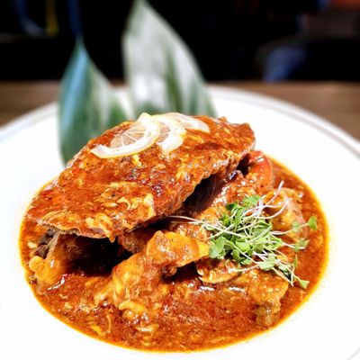 我是一只小辣蟹I'm a little hot crab by null