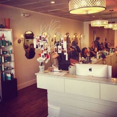 Beauty Bar and Salon