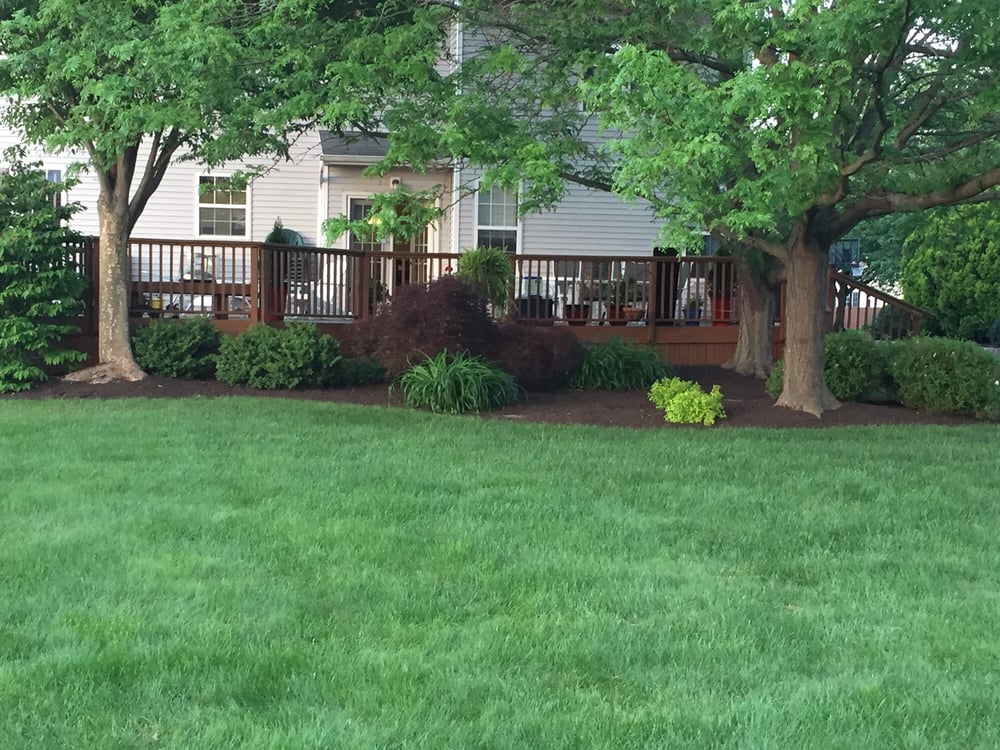 VILLAGE NURSERIES Updated August 2024 818 Old York Rd, East Windsor