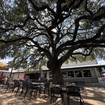 Adriano's Italian Restaurant - Outside, a huge ancient oak tree towers over the patio in the square - Italian Near Me - Marble Falls, Texas