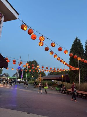 Kentucky Kingdom Theme & Water Park by null