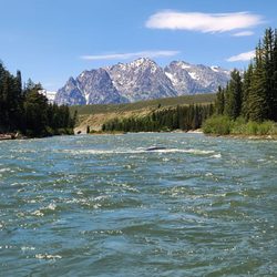 Barker-Ewing Scenic Tours