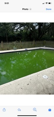 Custom Pool & Spa Mechanics