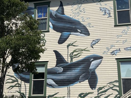 The Whale Museum by null