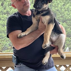 Smitty’s Dog Training