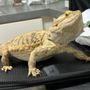 Photo of Southgate Animal Hospital