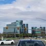 Photo of Redwood Shores