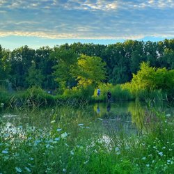 Firefighters Park - Evening views