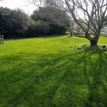 Turfscapes Lawn Care - Lawn Services Near Me - Warrenton, Virginia Turfscapes Lawn Care - Lawn Services Near Me - Warrenton, Virginia