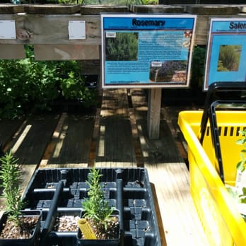 Rainbow Gardens - Nurseries & Gardening Near Me - San Antonio, Texas