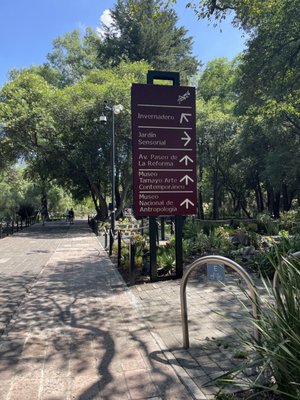 Jardín Botánico del Bosque de Chapultepec by null