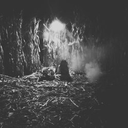 Twin Falls Corn Maze - Something wicked this way comes in the Haunted Twin Falls Corn Maze...