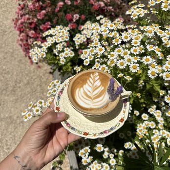Dart Coffee Co - Lavender latte - Coffee Roasteries Near Me - Santa Barbara, California