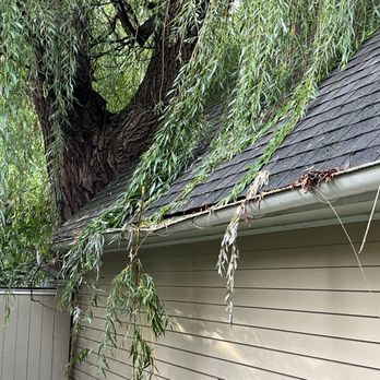 Ripley Tree Service - Tree damage caused by storm - Tree Services Near Me - Burton, Ohio Ripley Tree Service - Tree damage caused by storm - Tree Services Near Me - Burton, Ohio