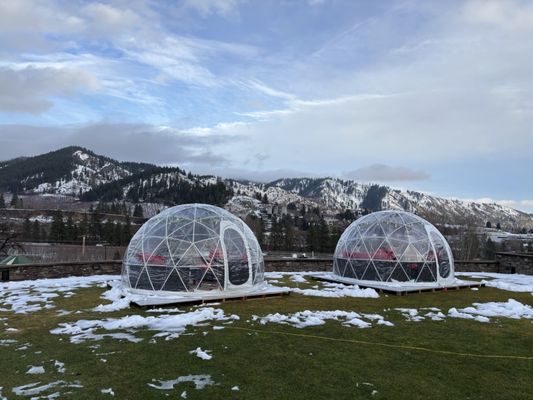 Silvara Cellars by null