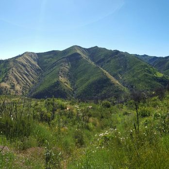 Stebbins Cold Canyon Loop Trail - Hiking Near Me - Winters, California