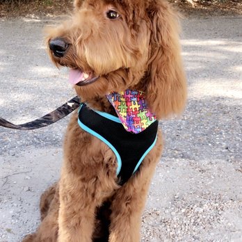 Lakeside Grooming - Pet Groomers Near Me - Tallahassee, Florida Lakeside Grooming - Pet Groomers Near Me - Tallahassee, Florida