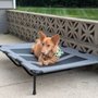 Photo of So Fetch Grooming Salon