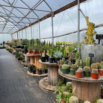 Hillcrest Nursery - Nurseries & Gardening Near Me - Woodburn, Oregon Hillcrest Nursery - Nurseries & Gardening Near Me - Woodburn, Oregon