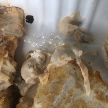 Calvert Crabs & Seafood - Plastic wrapper in the Quesadilla - Seafood Near Me - Prince Frederick, Maryland Calvert Crabs & Seafood - Plastic wrapper in the Quesadilla - Seafood Near Me - Prince Frederick, Maryland