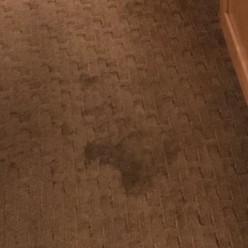 Seabird Lodge - Dirty carpet - Hotels Near Me - Fort Bragg, California Seabird Lodge - Dirty carpet - Hotels Near Me - Fort Bragg, California