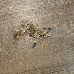 The Pointe at Five Oaks - Stuff I swept up from the kitchen alone