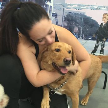 Petrock Hotel And Spa - Stormy with his new girlfriend! - Pet Sitting Near Me - Encino, California Petrock Hotel And Spa - Stormy with his new girlfriend! - Pet Sitting Near Me - Encino, California