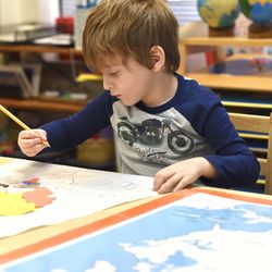 Dupage Montessori School