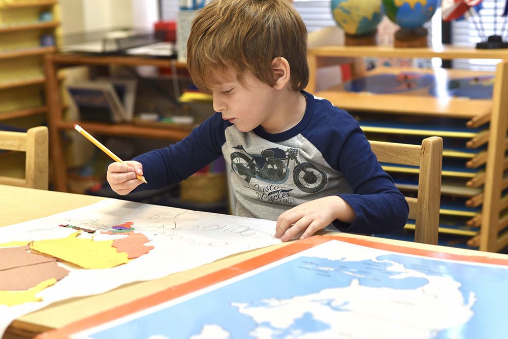 Dupage Montessori School - childcare center in Naperville, IL