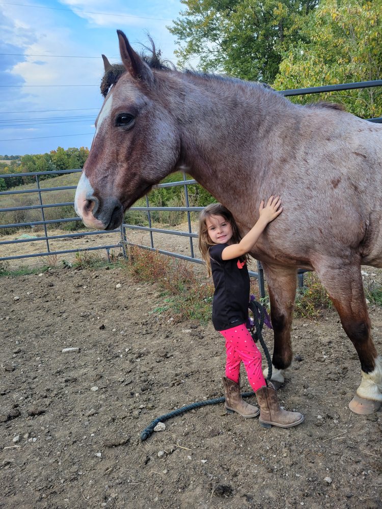Social spots from Lazy Creek ranch