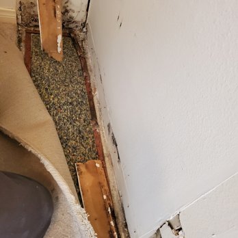 Bye Bye Mold - Environmental Testing Near Me - Woodland Hills, California
