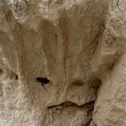Looks like Groot did a face plant ..