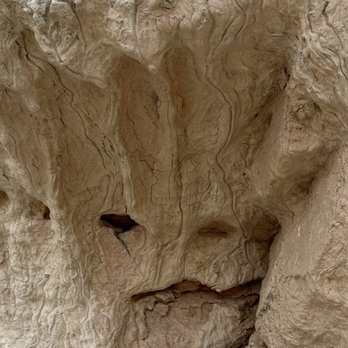 Paint Mines Interpretive Park - Looks like Groot did a face plant .. - Parks Near Me - Calhan, Colorado