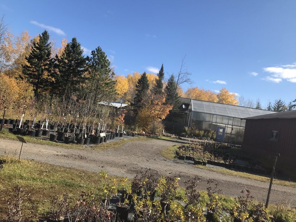 HAMMARLUND NURSERY Updated September 2024 159 N Cloquet Rd E, Esko