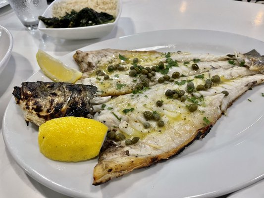 Platía Greek Kitchen by null