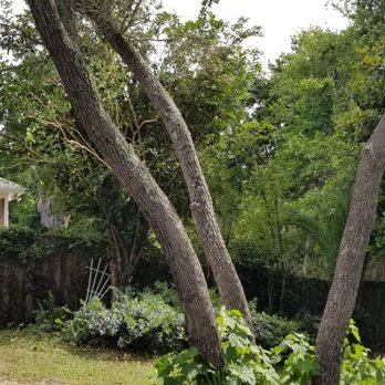 Beasley Contractors - a view of the back yard of a home - Landscaping Near Me - Navarre, Florida Beasley Contractors - a view of the back yard of a home - Landscaping Near Me - Navarre, Florida