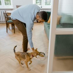The Pet Pantry