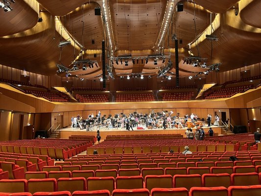 Auditorium Parco della Musica by null