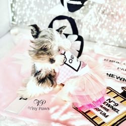Tiny Paws Puppy Boutique