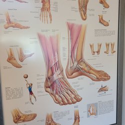Elizabeth Vulanich, MD - Helpful when explaining a diagnosis