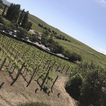 PF Wine Tours - Wine Tours Near Me PF Wine Tours - Wine Tours Near Me